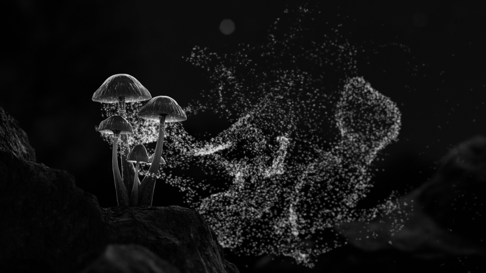 Mushroom_bw